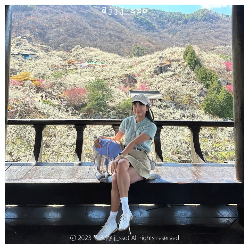이십삼점오(23.5) 이미지
