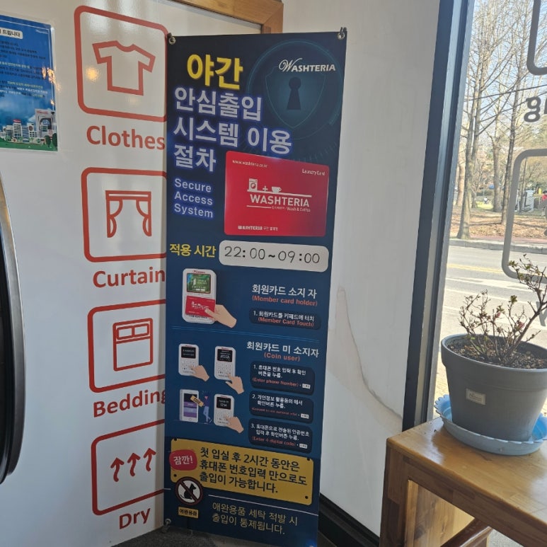 워시테리아전주 이미지
