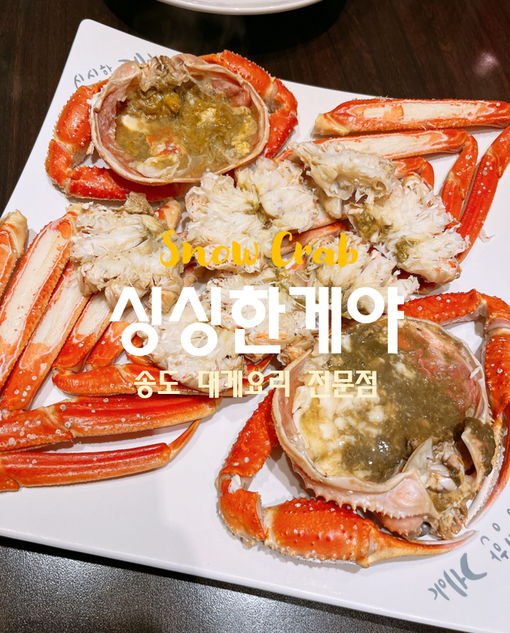 싱싱한게야 이미지