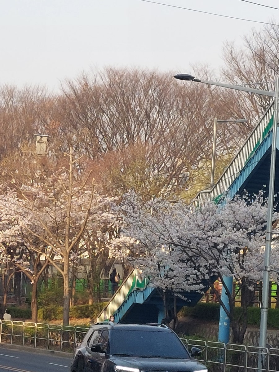 무지개옷수선 이미지