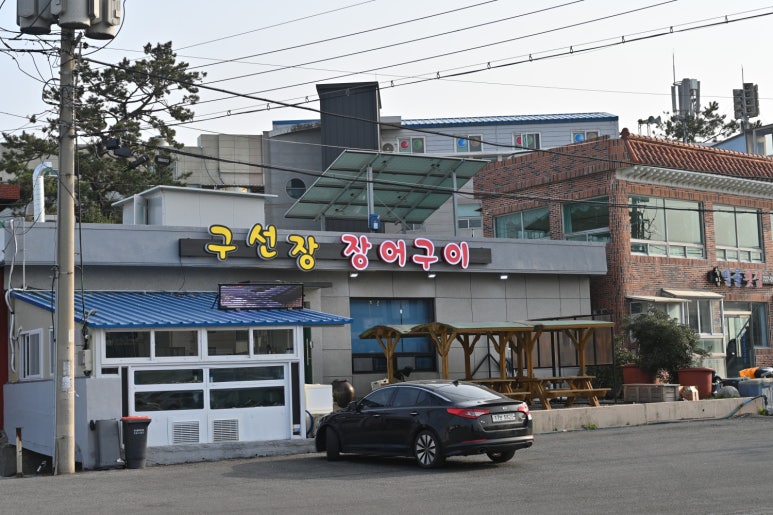 기장꼼장어 이미지