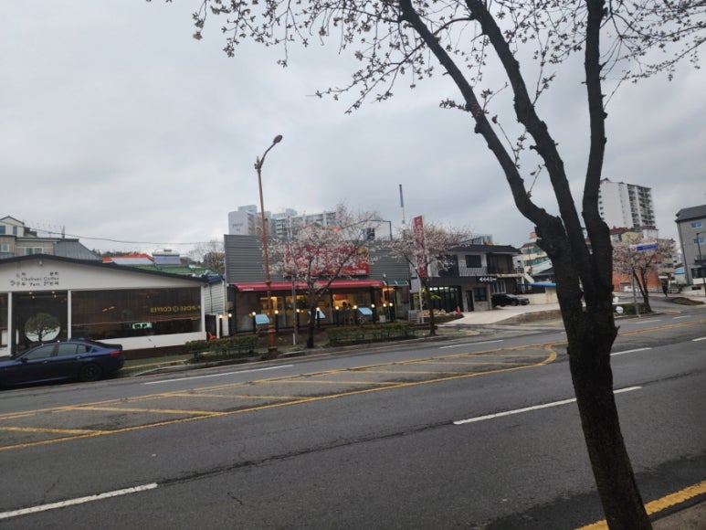 원조교동해물짬뽕진주점 이미지