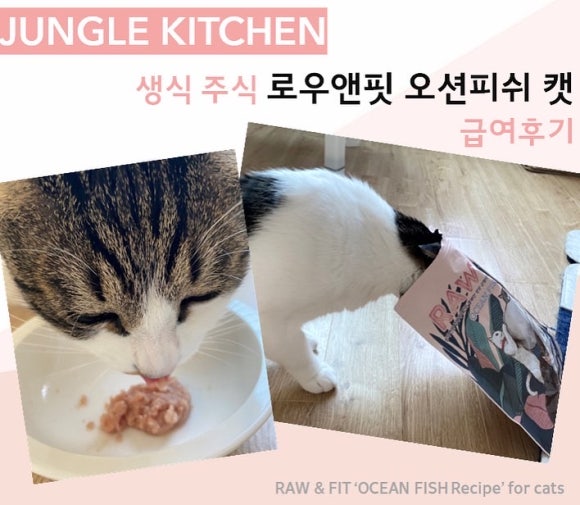 피쉬앤키친 이미지