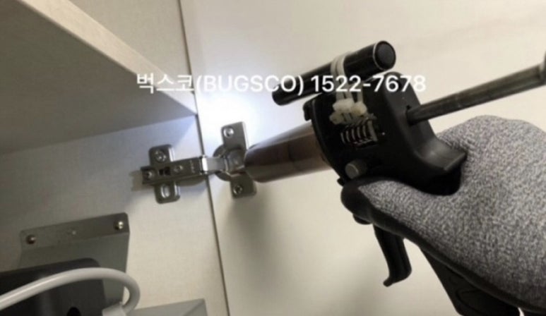 벅스코 이미지