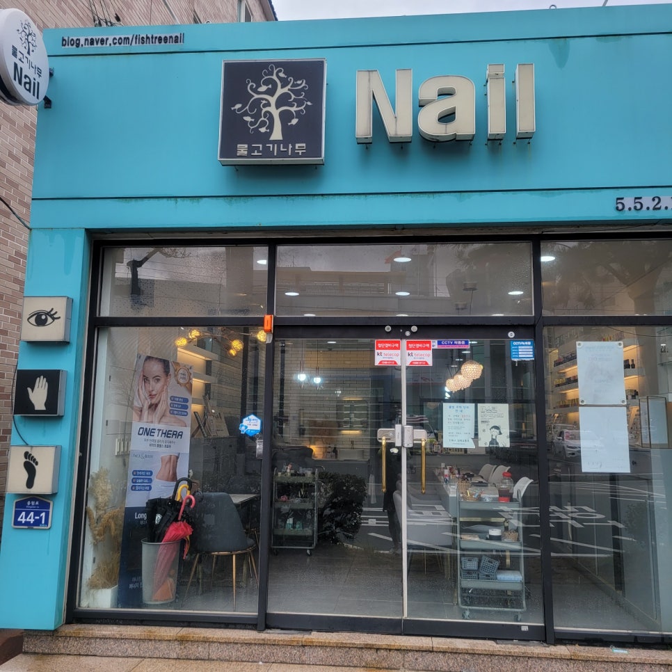 물고기나무네일 이미지