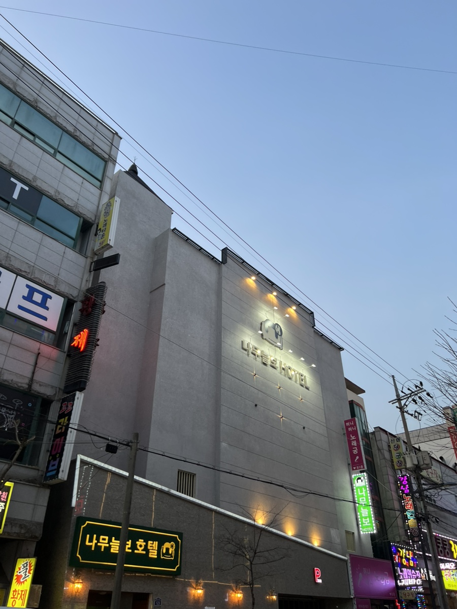 나무늘보호텔 이미지