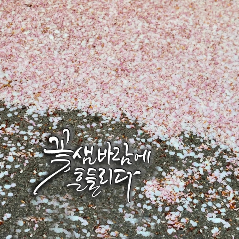 에코디자인연구소 이미지