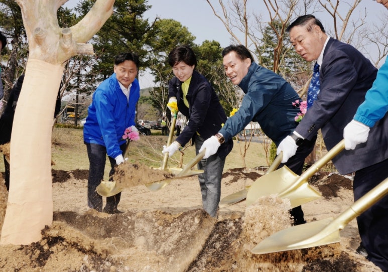 큰나무의원 이미지