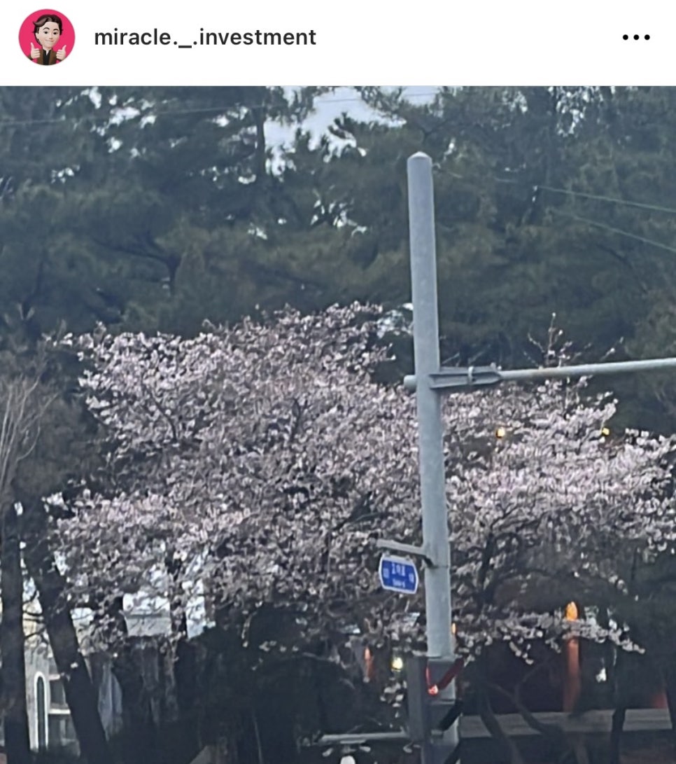 미라클인베스트먼트 이미지