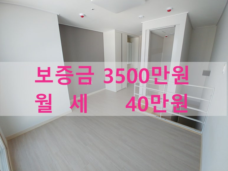 주식회사 라온베이 이미지