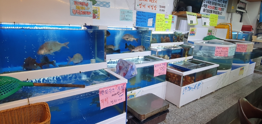 활어장군쉼터 이미지