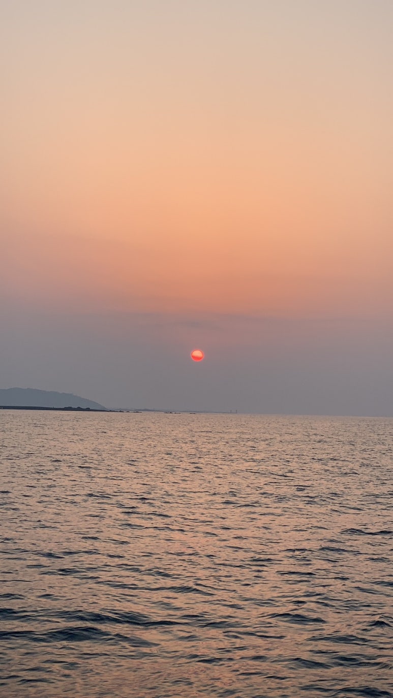 오라이투어 이미지