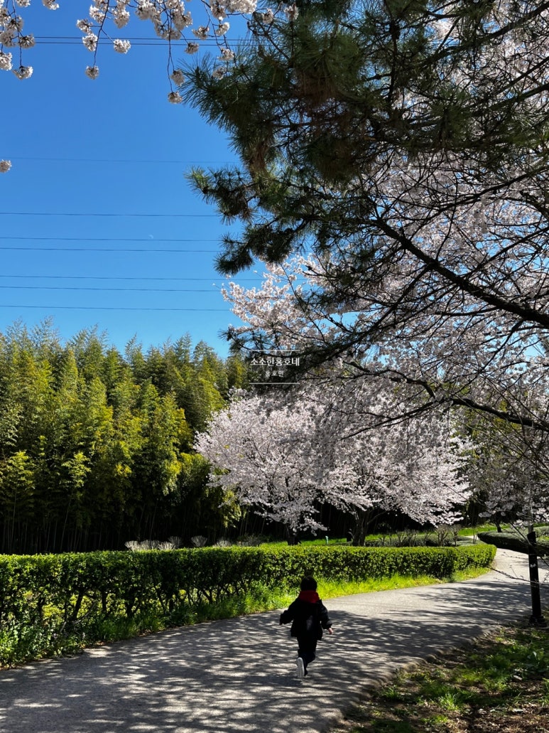 울산해변횟집 이미지