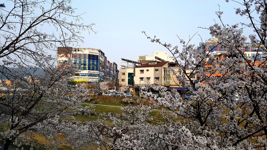 베아투스 이미지