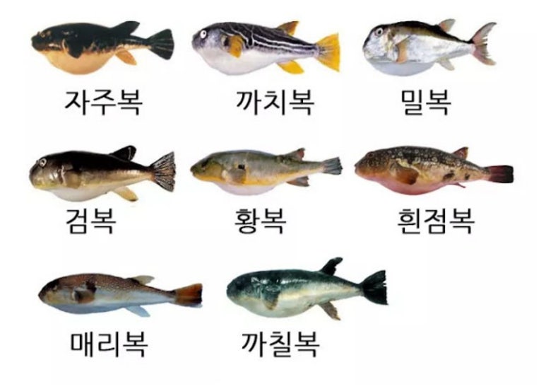 제일복집 이미지
