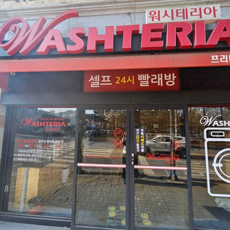 워시테리아전주 이미지