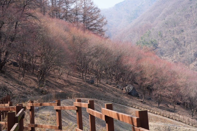 계명산자연휴양림 야영장 이미지