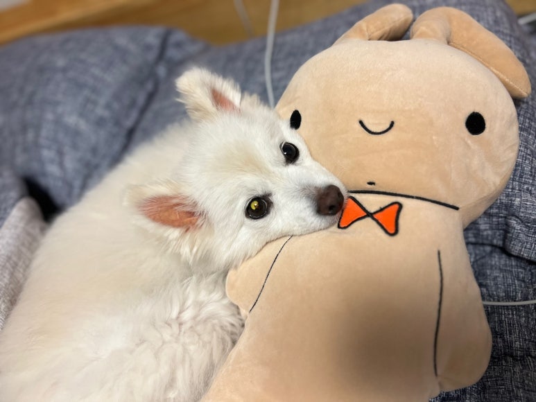천도리사진관 이미지