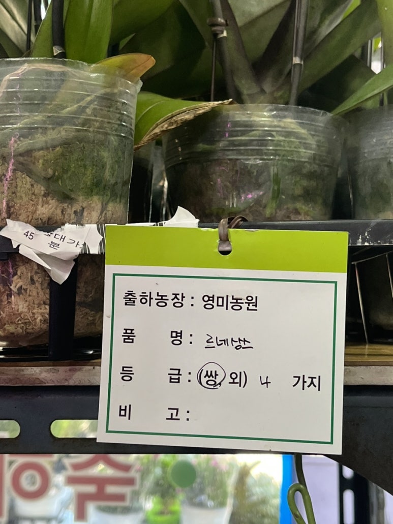 영미꽃집 이미지