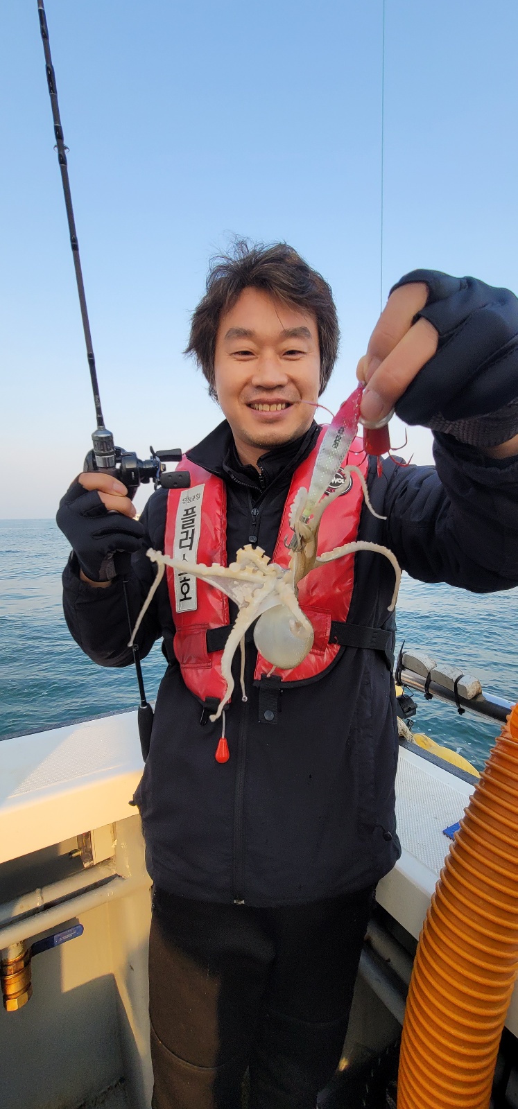 바다쭈꾸미 이미지