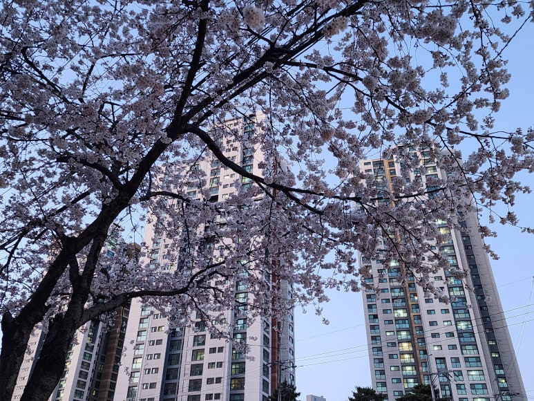 전기기술사사이버학원 이미지