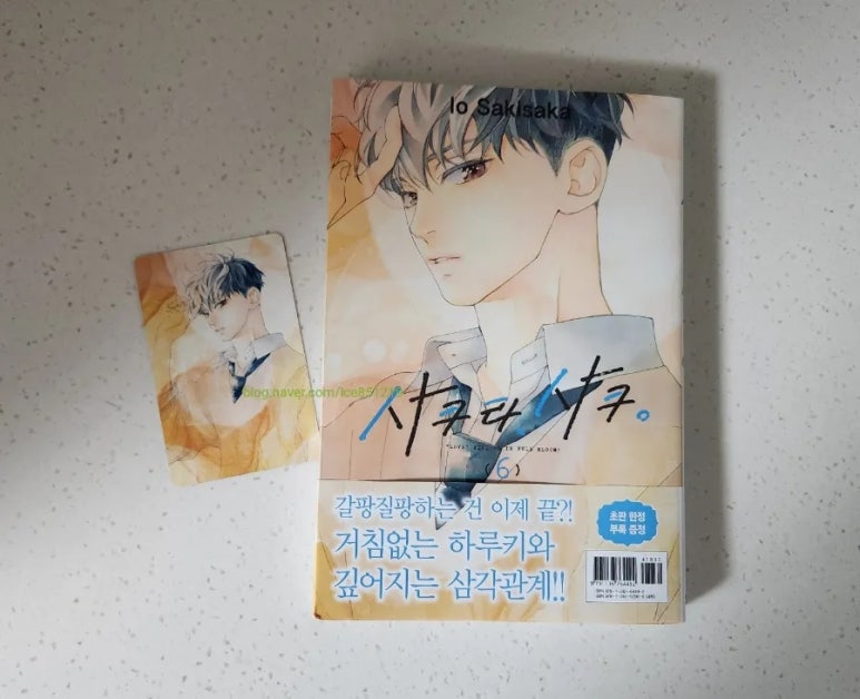 양지포토하우스 이미지