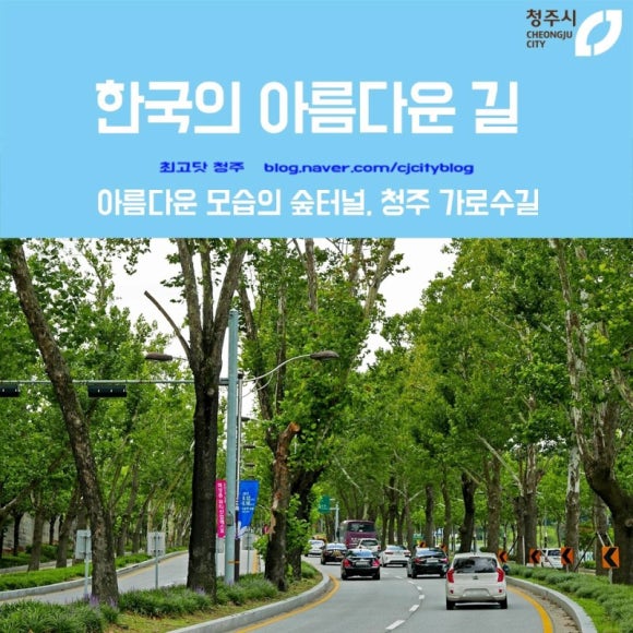 대덕터널 이미지