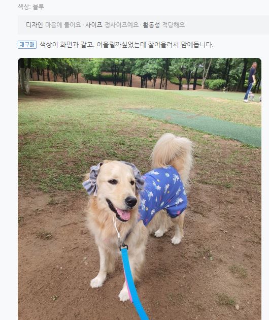 슈슈홀릭 이미지