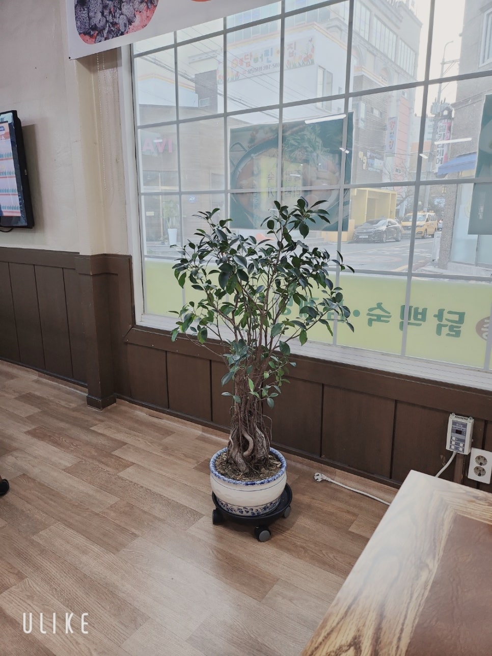 우리집영양탕 이미지
