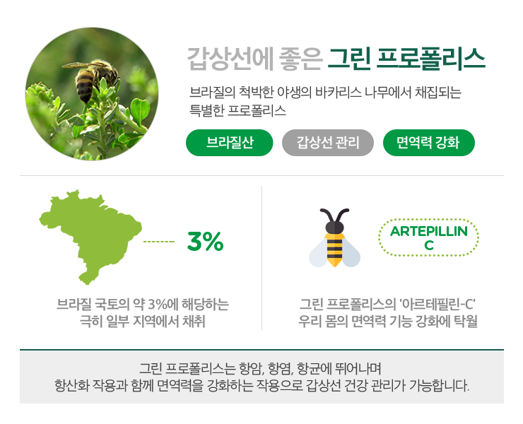 바로그린 이미지