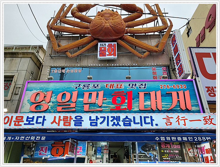 구룡포대게회 이미지
