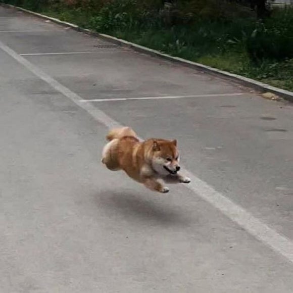 꼬꼬마분식 이미지