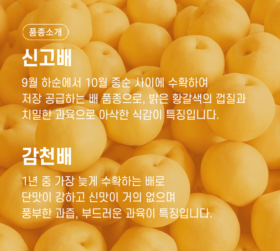 배나무골농원 이미지