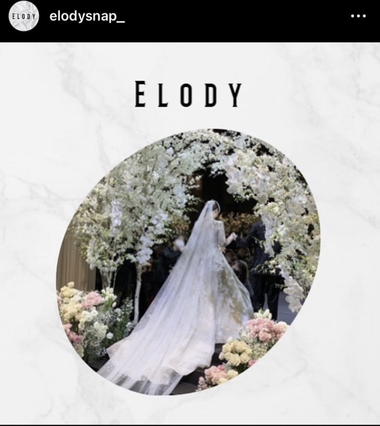 엘로디(Elody) 이미지