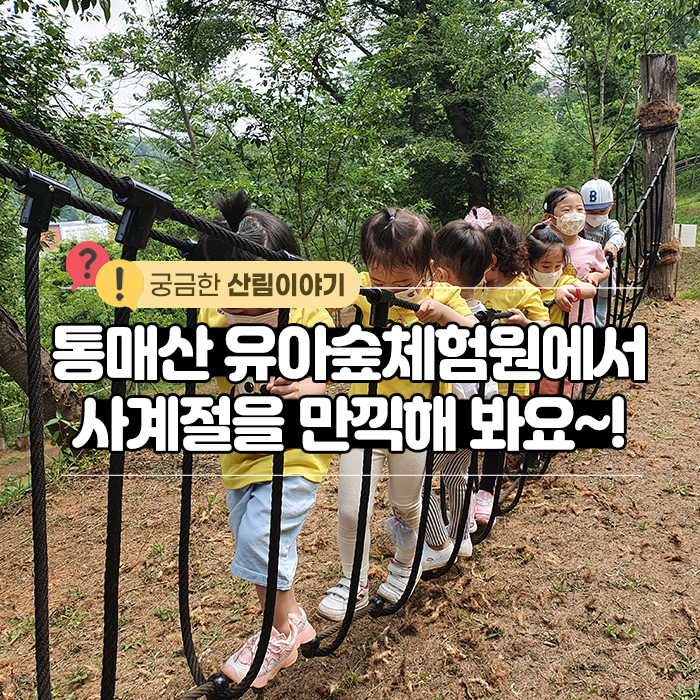 통매산 유아숲체험원 이미지
