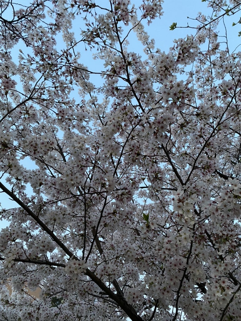 오늘도한우월성 이미지