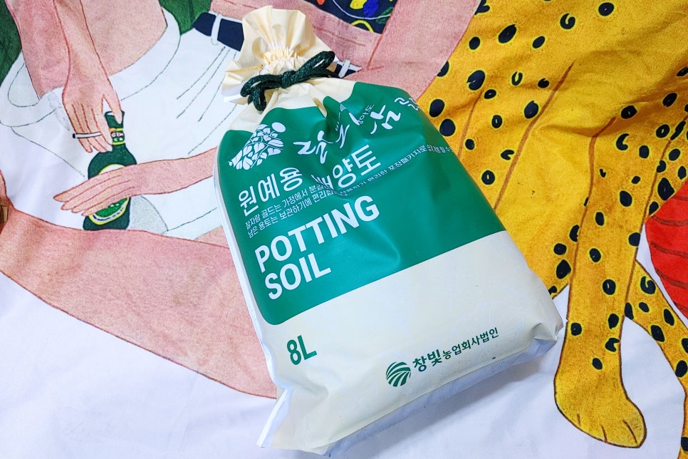 자람주머니 이미지