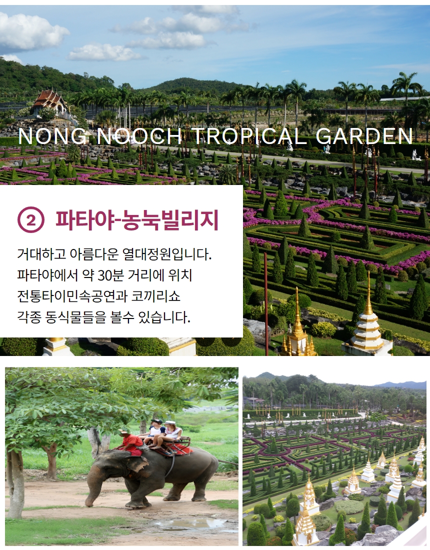 세종여행사 이미지