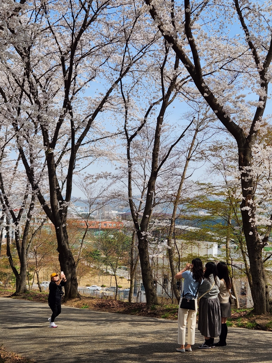 삼삼오주 이미지