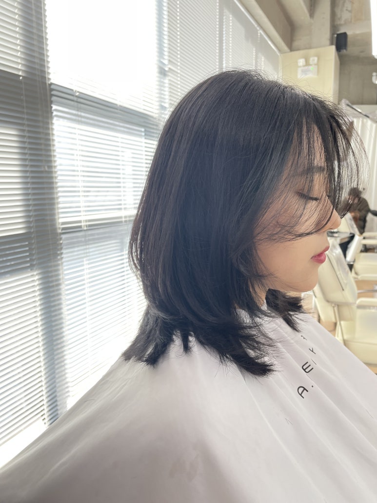 에이린헤어 이미지