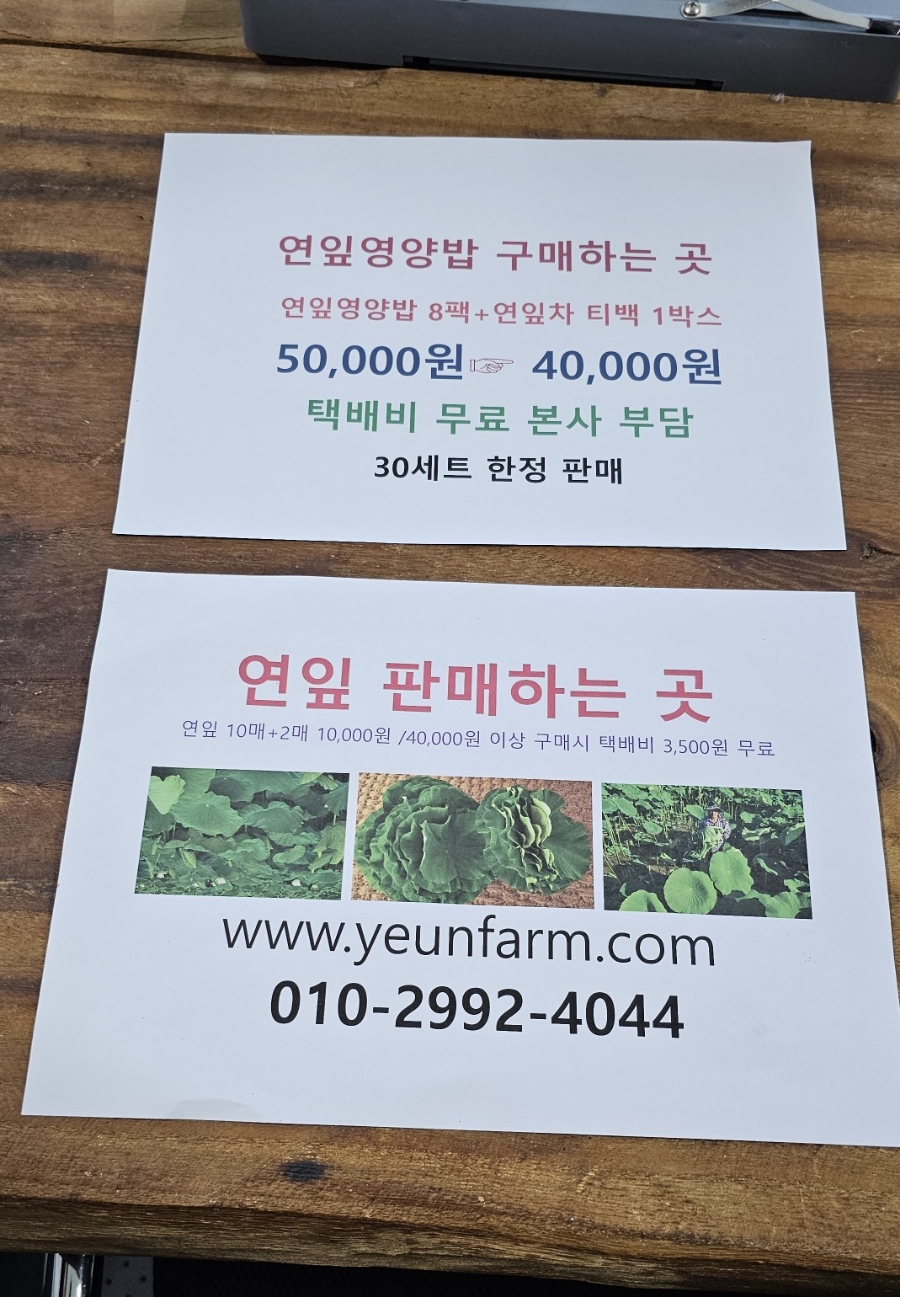 백설연차 이미지