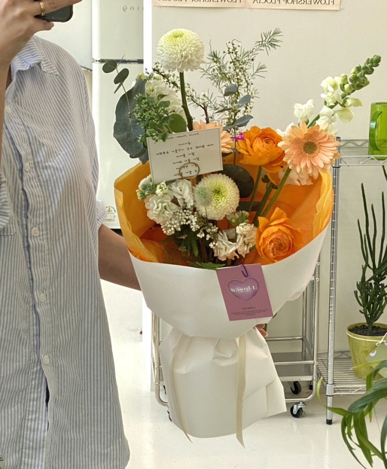 플로시아 이미지