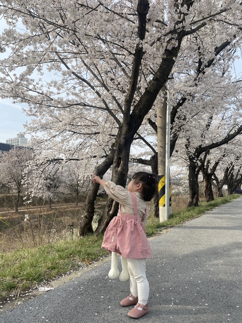 (주)케이티앤지 신탄진공장 이미지