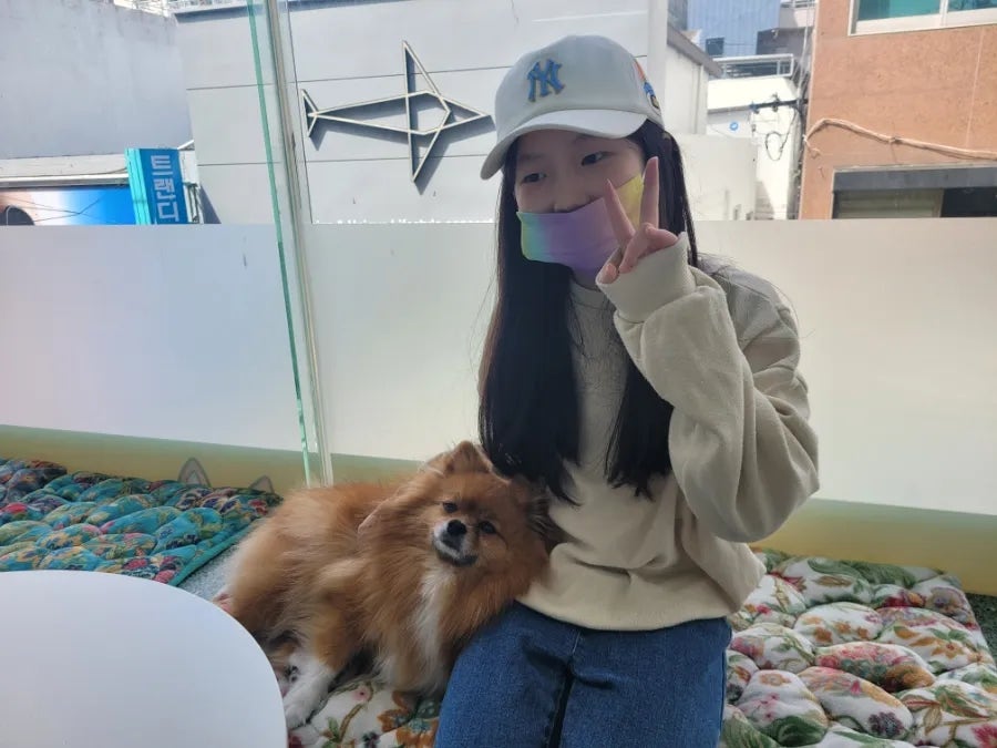 애견카페 포 이미지