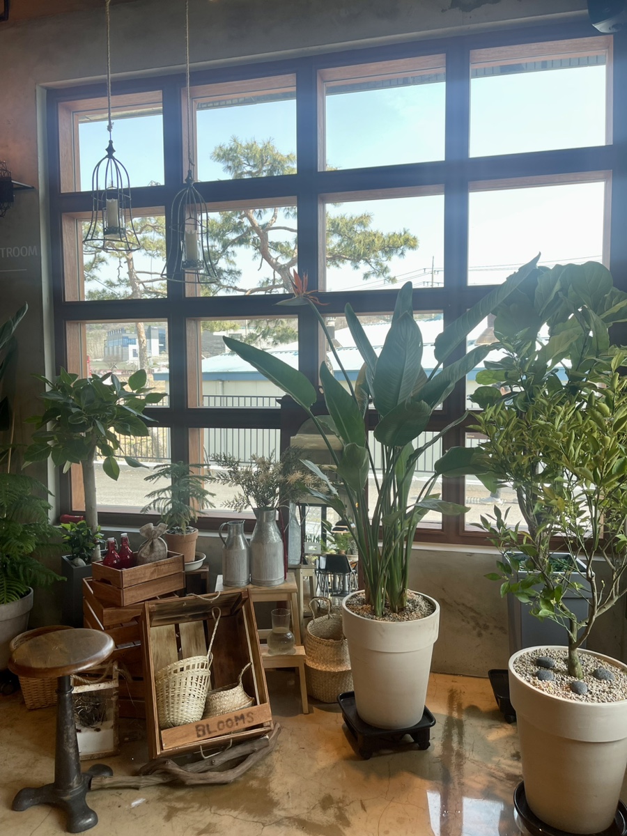 CAFE BLOOMS(카페블룸스) 이미지