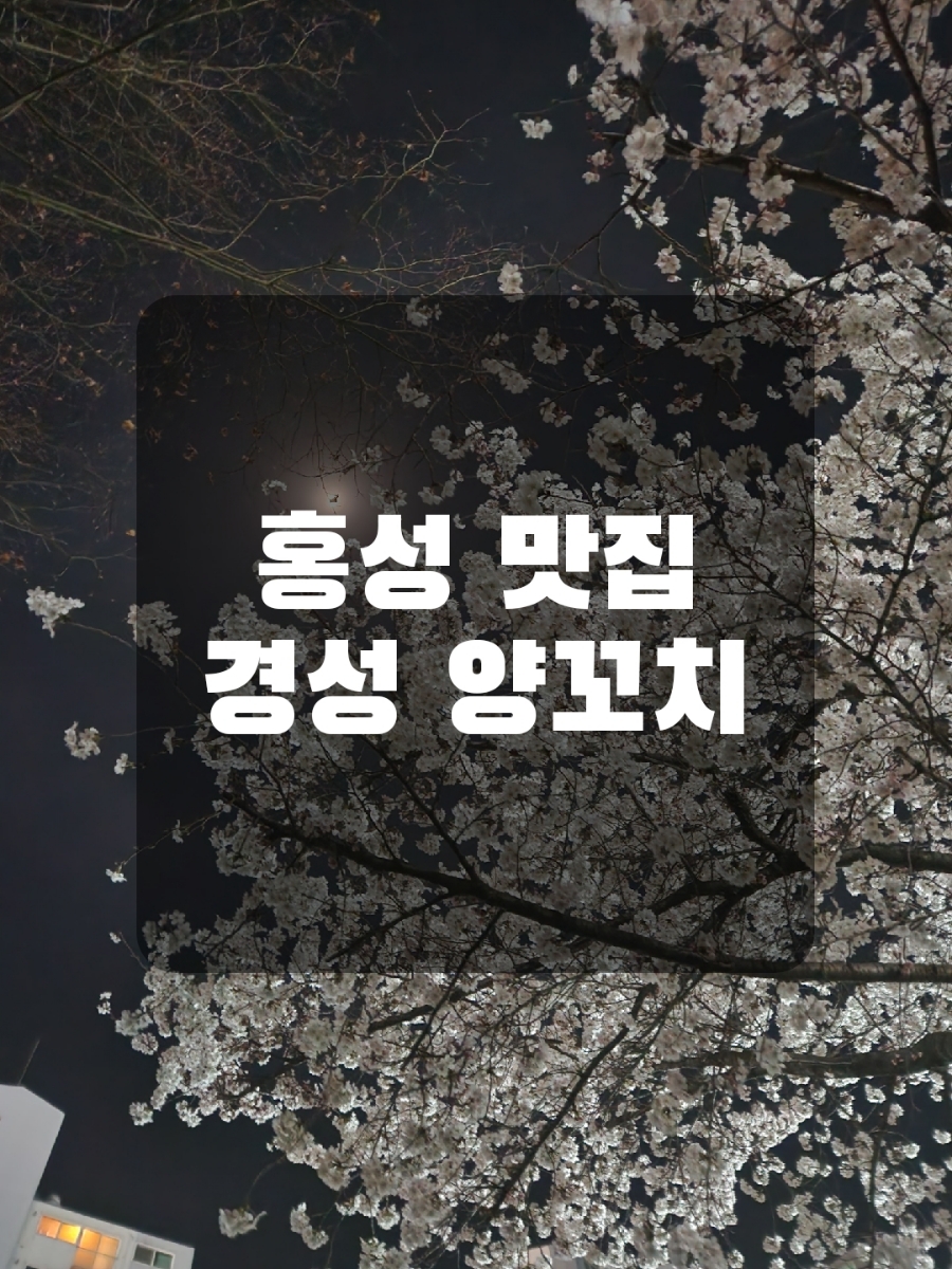 경성양꼬치 홍성점 이미지