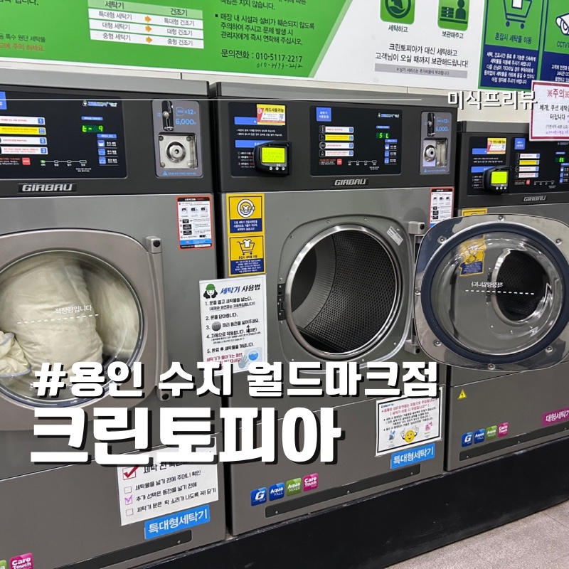 크린토피아수지 이미지
