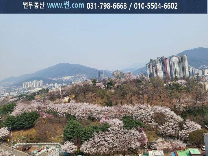해태공인중개사사무소 이미지