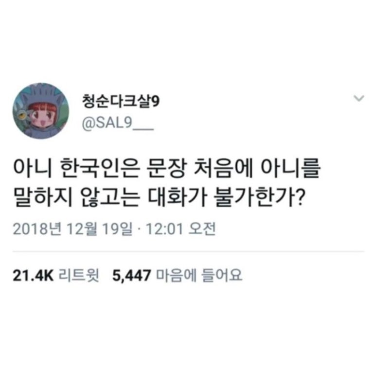 레이드백 이미지
