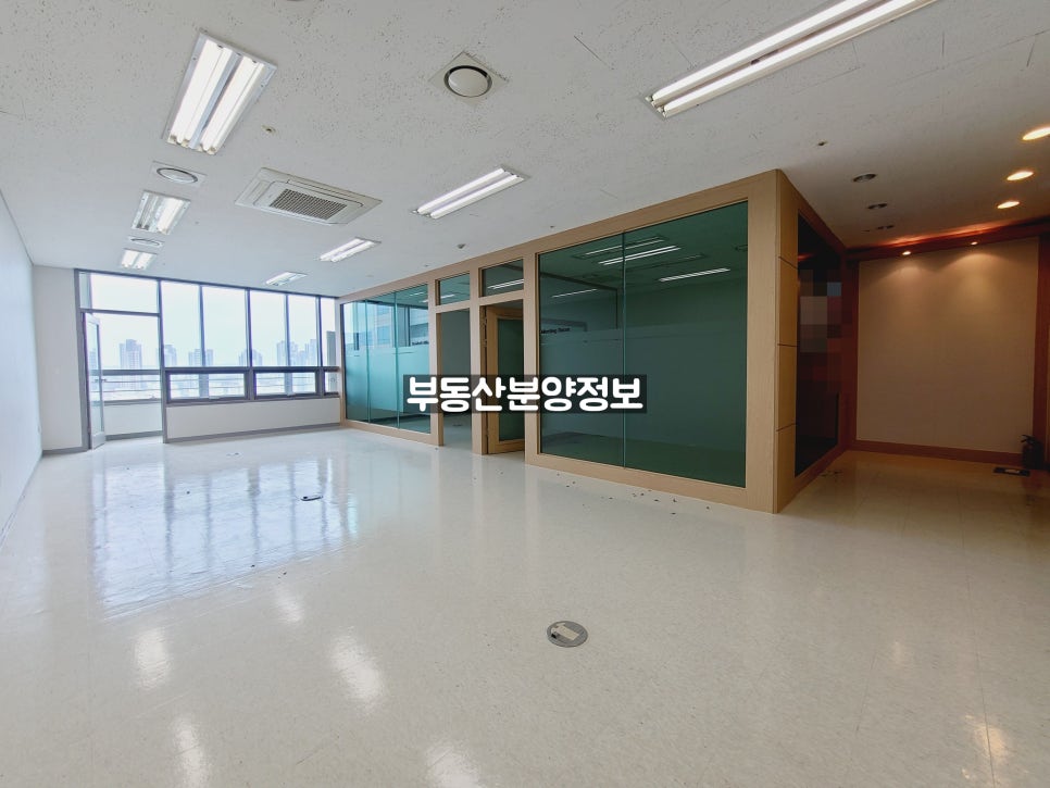 고려유료직업소개소 이미지